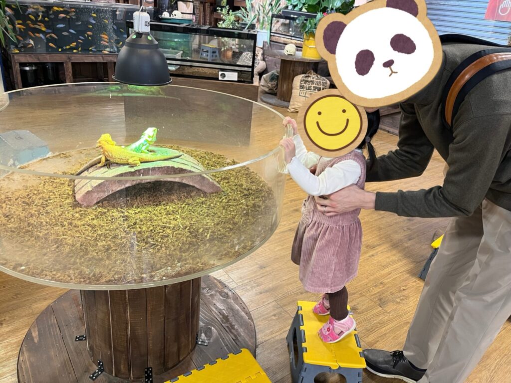 生き物ミュージアムで、娘が踏み台に立って父親に支えられながら爬虫類を見ている様子