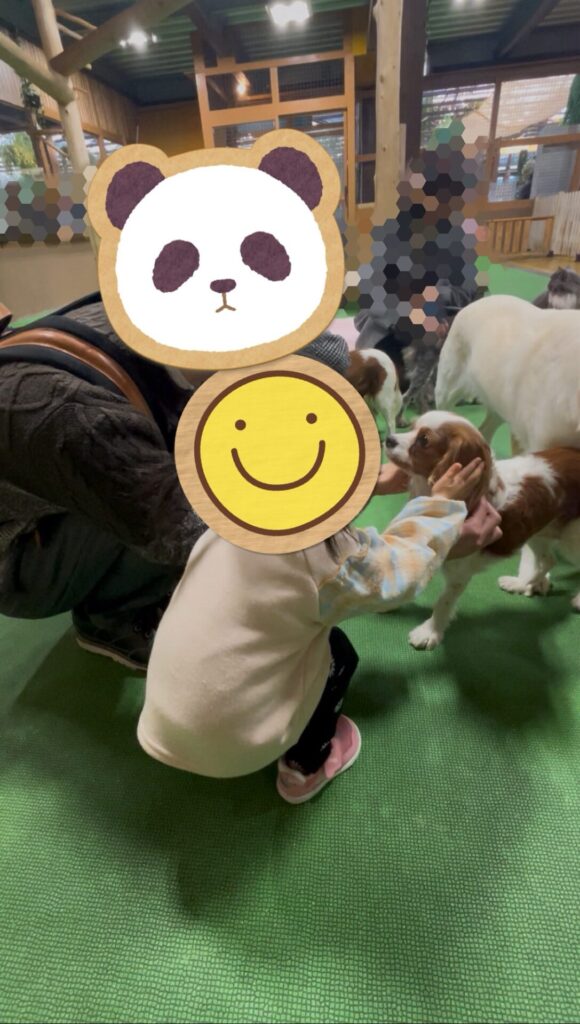 犬と触れ合える「わんにゃんルーム」で、子どもが犬に手を伸ばしている場面