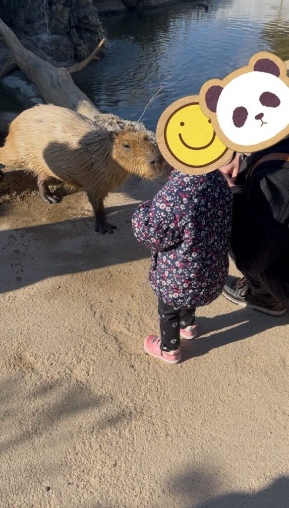 カピバラと子どもが近くで向き合っている様子（水辺のエリア）