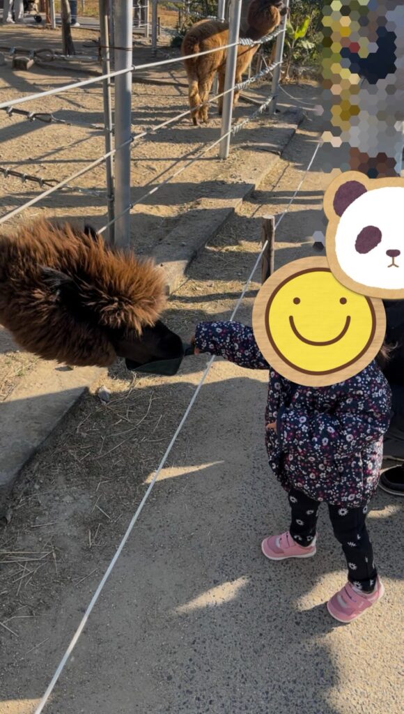 アルパカに子どもが手を伸ばしてエサをあげている場面