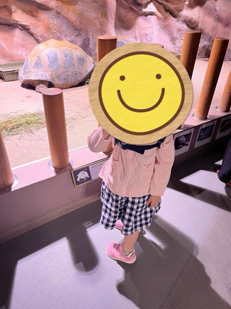 アトア館内で亀を見ている子ども