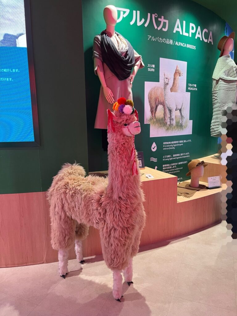 ペルー館の展示に置かれたアルパカの人形と説明パネル