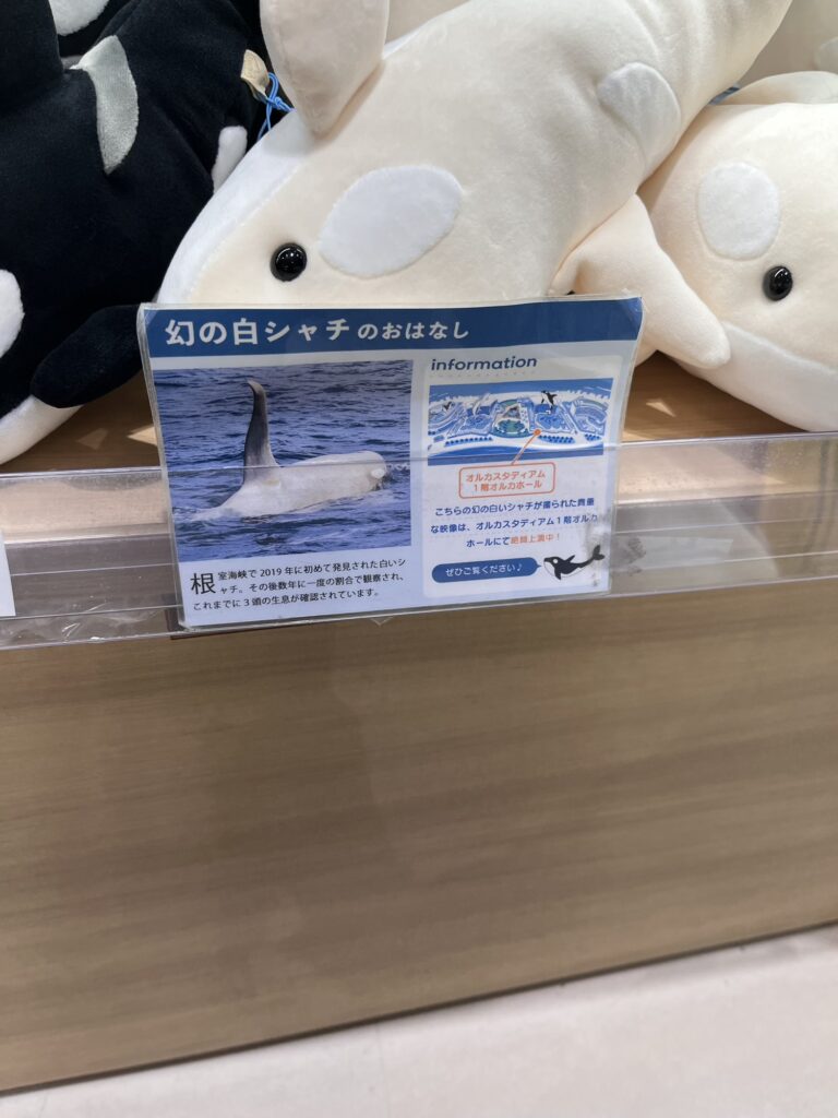 須磨シーワールドの土産屋で、シャチのぬいぐるみと案内カードが並ぶ棚。