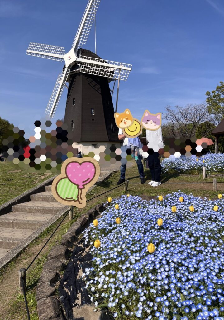 鶴見緑地の風車の丘でネモフィラとチューリップが咲いている様子