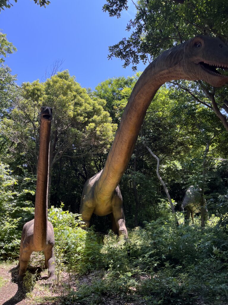 芝政ワールド恐竜の森の恐竜展示