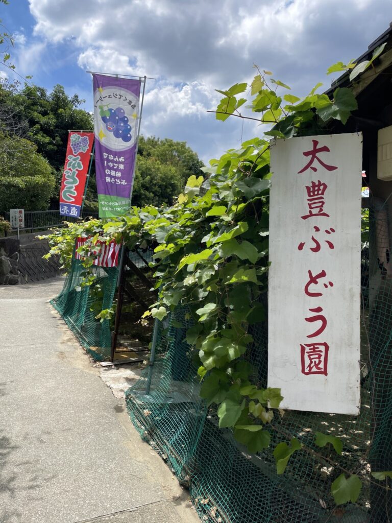 大阪府柏原市にある太豊ぶどう園の入口と看板。