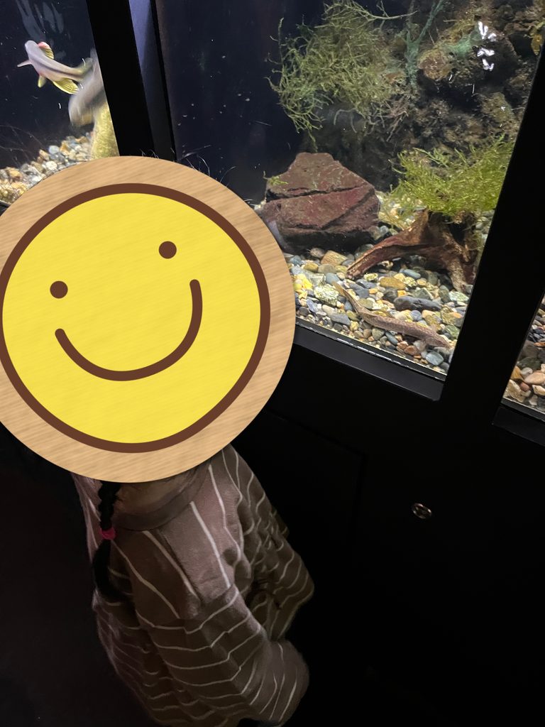 京都水族館の水槽を眺める娘